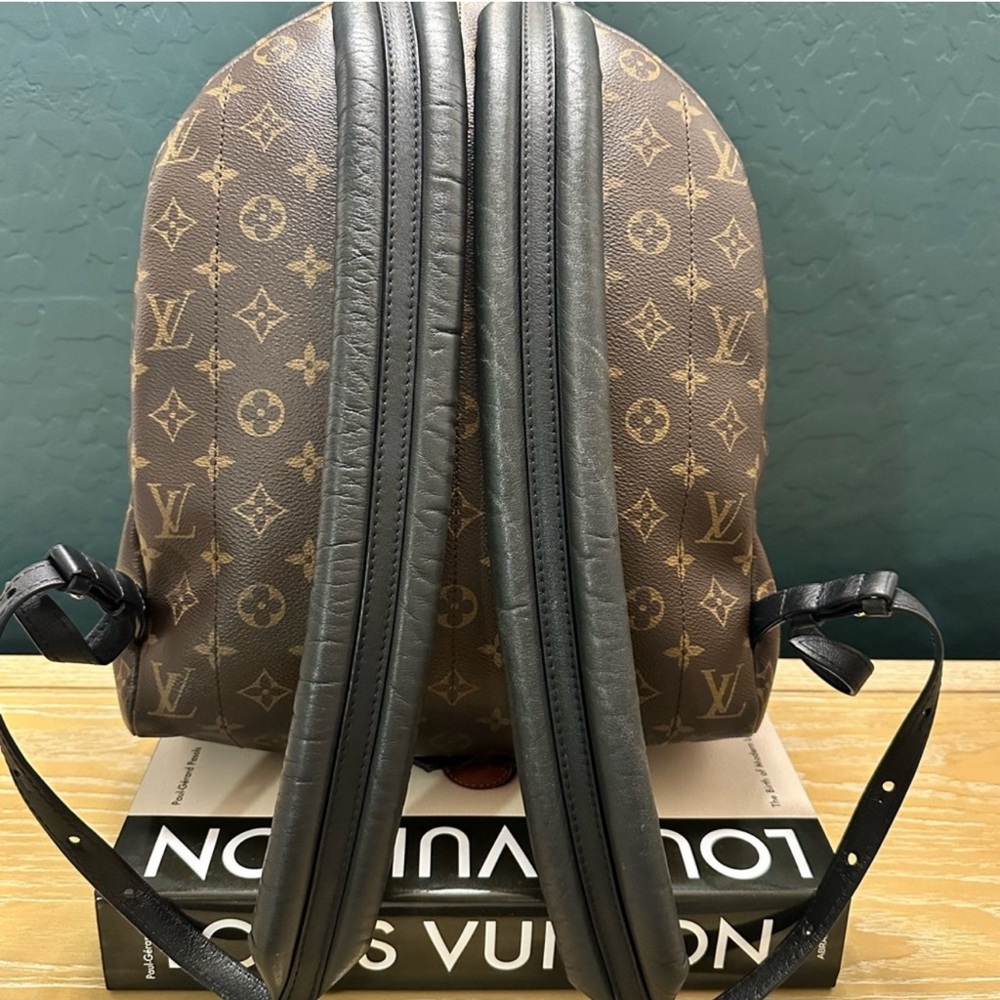 Louis Vuitton Palm Springs MM - Picture 5 of 10